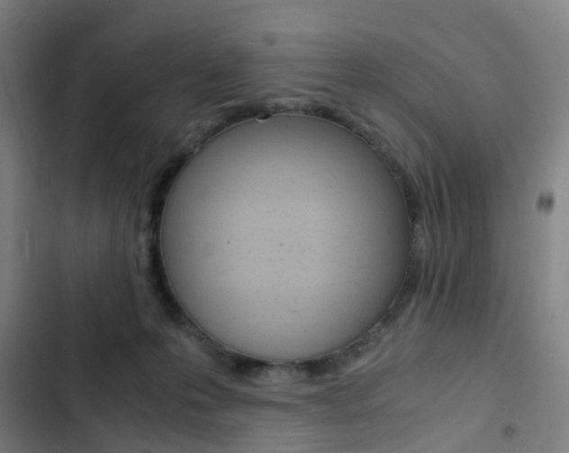 X0000103330223200809051029