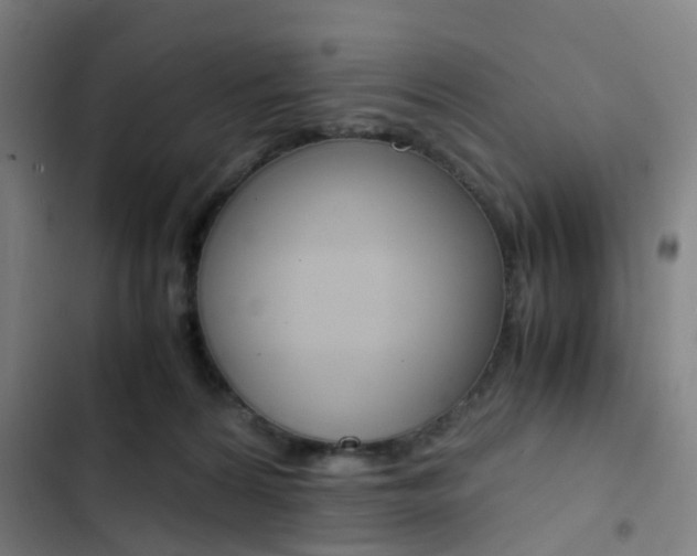X0000103330224200809051029