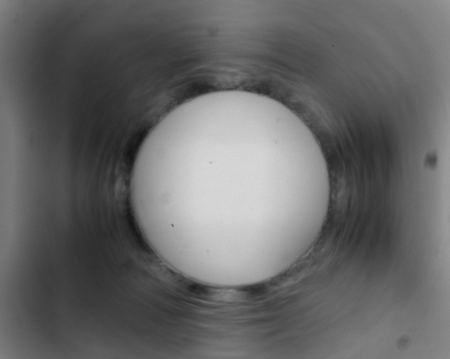 X0000103330226200809051029