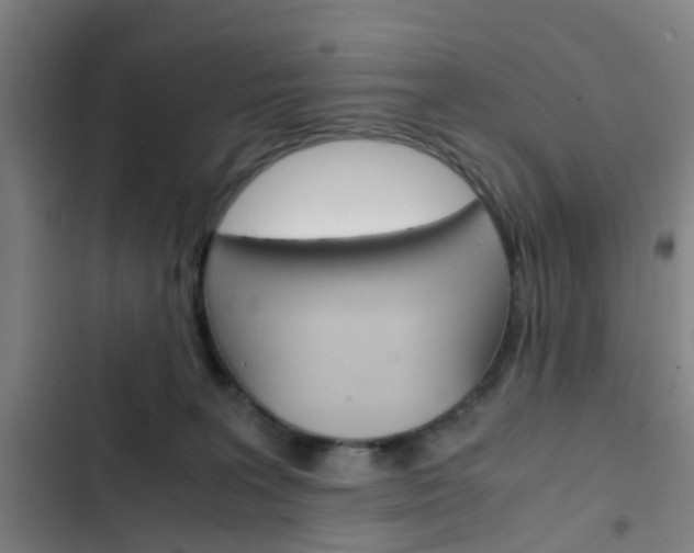X0000103330227200809051029