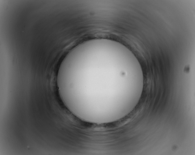 X0000103330228200809051029