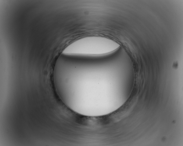 X0000103330229200809051029