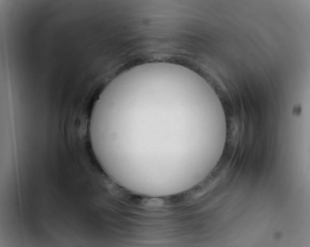 X0000103330230200809051029