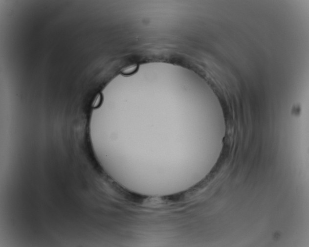 X0000103330231200809051029