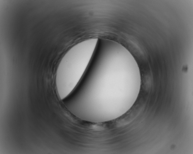 X0000103330232200809051029