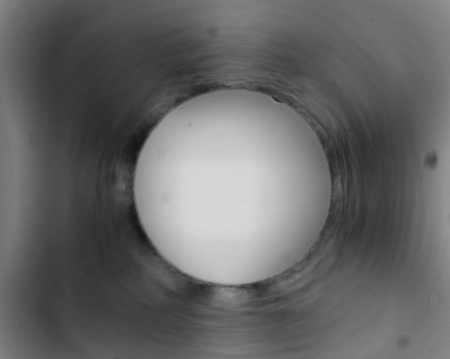 X0000103330234200809051029