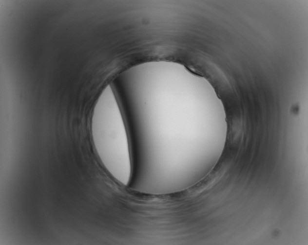 X0000103330236200809051029