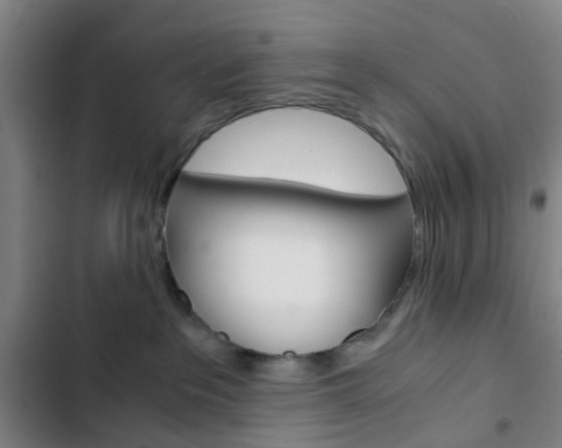 X0000103330237200809051029