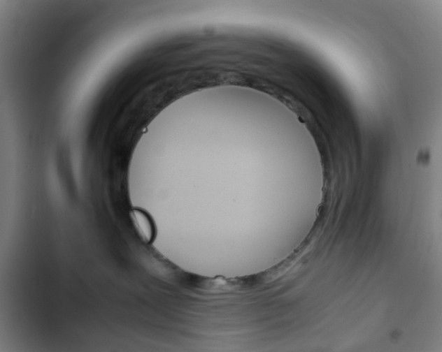 X0000103330239200809051029