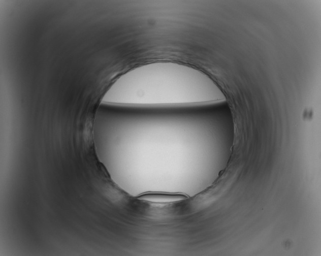 X0000103330240200809051029