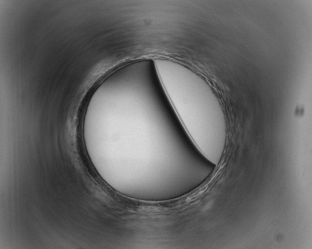 X0000103330242200809051028