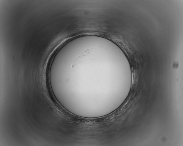 X0000103330243200809051028