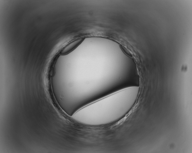 X0000103330245200809051028