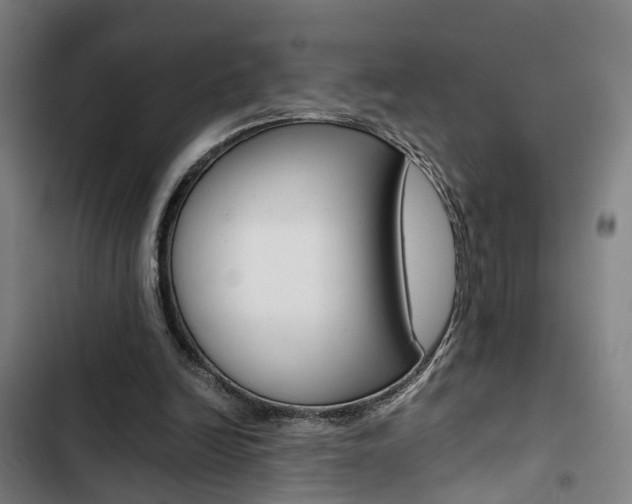 X0000103330246200809051028