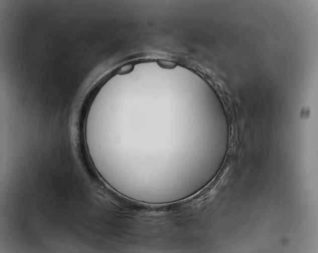 X0000103330247200809051028