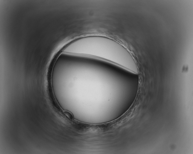 X0000103330248200809051028