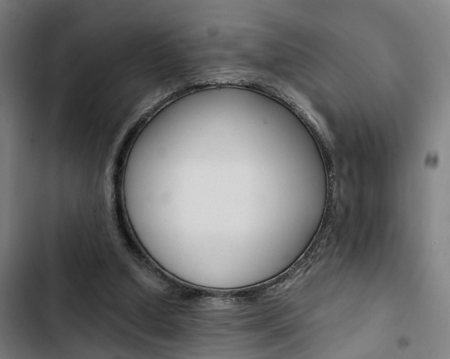 X0000103330250200809051028