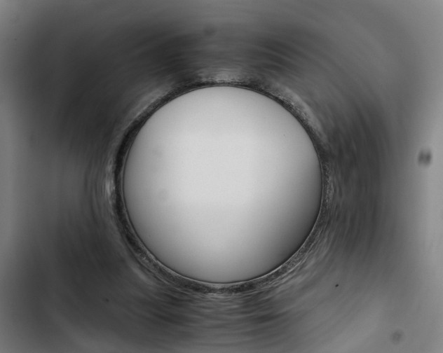 X0000103330251200809051028