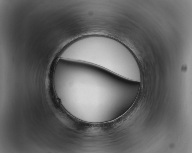 X0000103330252200809051028