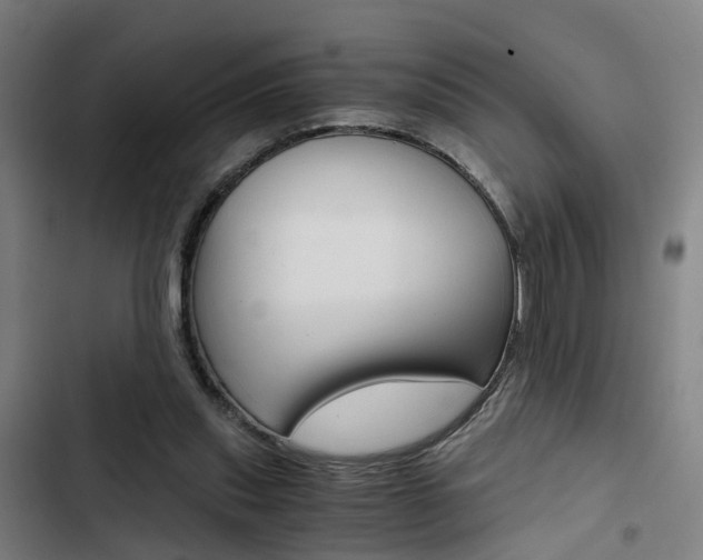X0000103330253200809051028