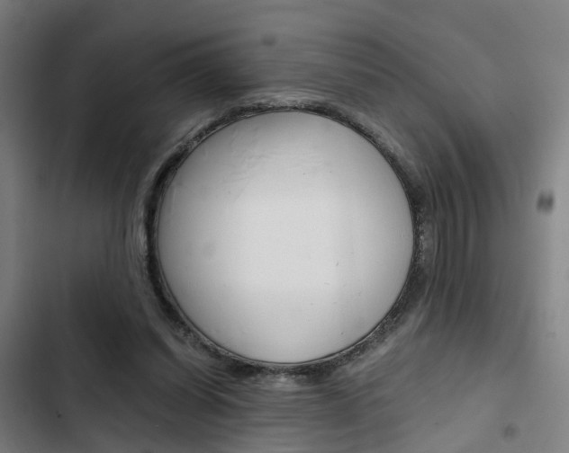 X0000103330254200809051028