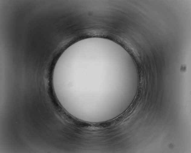 X0000103330255200809051028