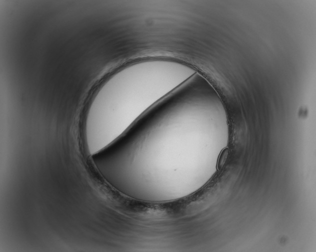 X0000103330256200809051028