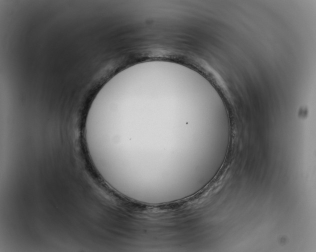 X0000103330257200809051029