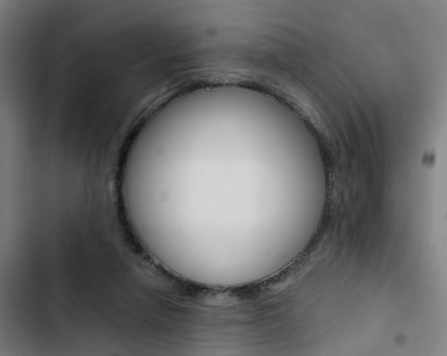 X0000103330258200809051029