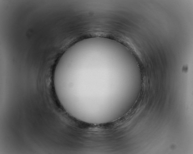 X0000103330259200809051029