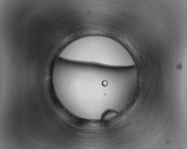 X0000103330260200809051029