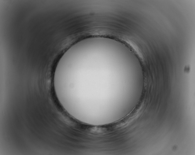 X0000103330261200809051029