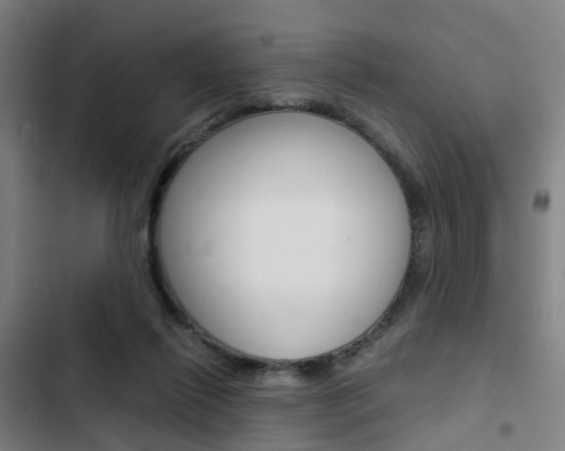 X0000103330262200809051029