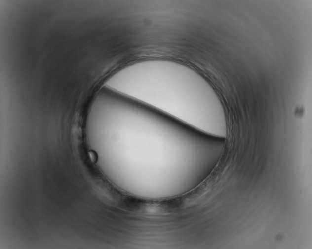 X0000103330264200809051029