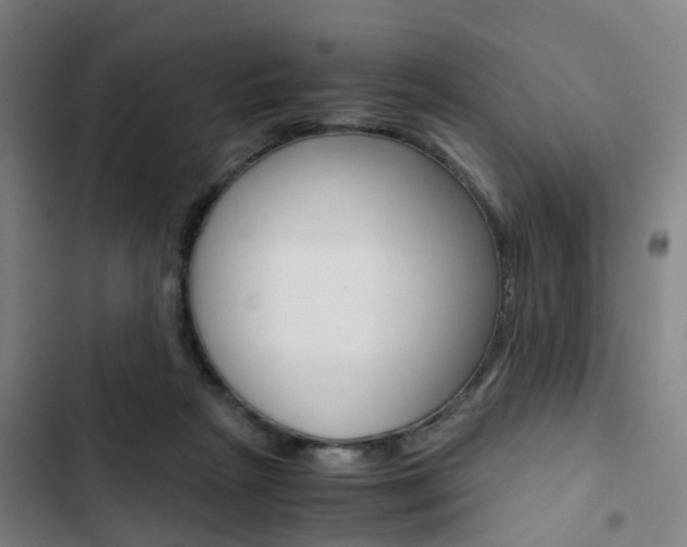 X0000103330265200809051029