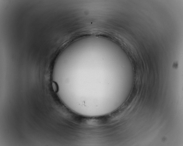 X0000103330268200809051029