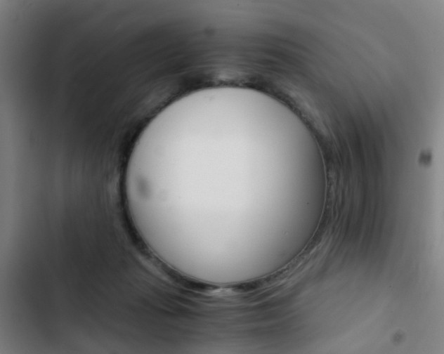 X0000103330269200809051029