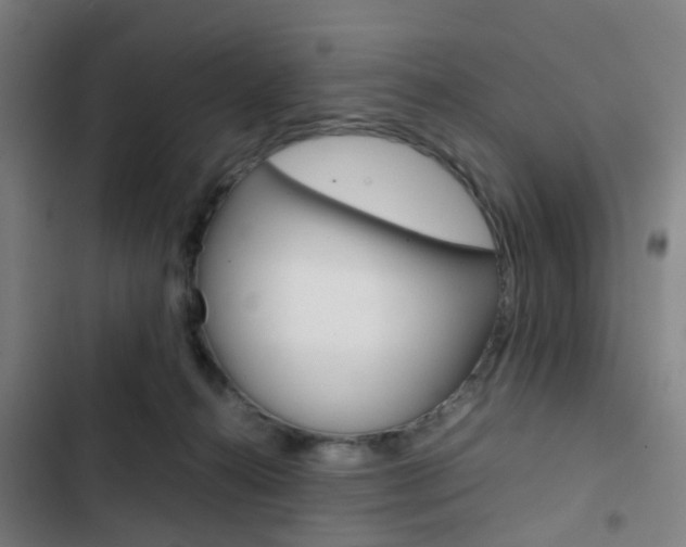 X0000103330272200809051029