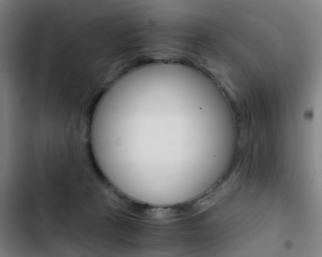 X0000103330273200809051029