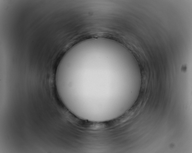 X0000103330274200809051029