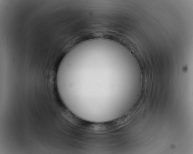 X0000103330275200809051029