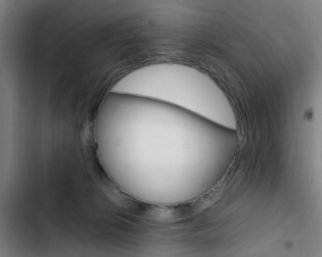 X0000103330276200809051029