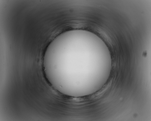 X0000103330277200809051029