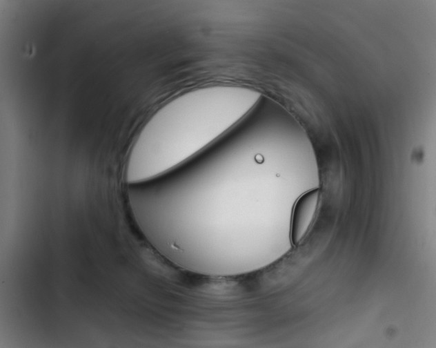 X0000103330278200809051029