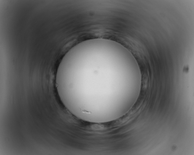 X0000103330279200809051029