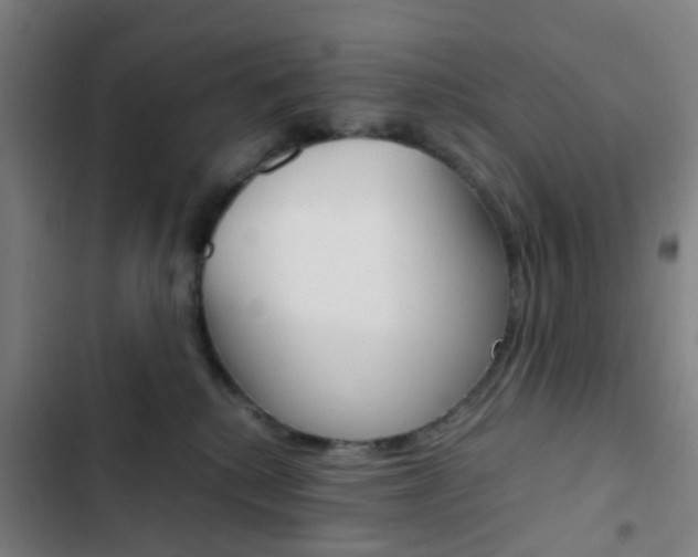 X0000103330280200809051029
