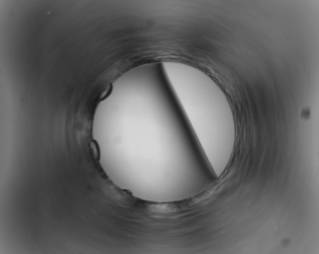 X0000103330281200809051029