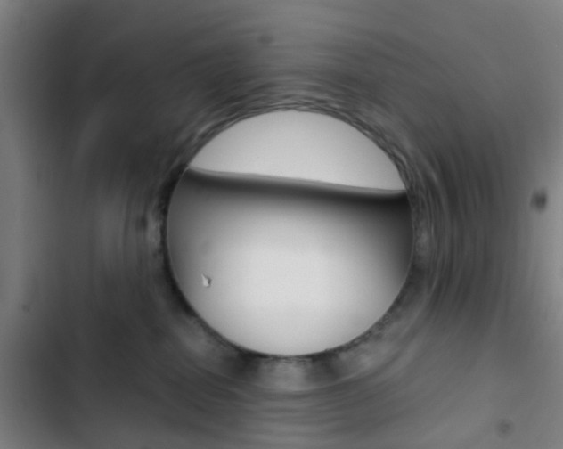 X0000103330282200809051029