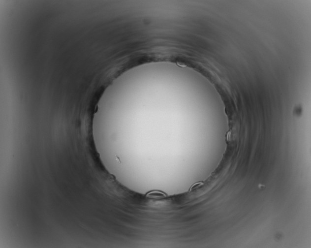 X0000103330283200809051029