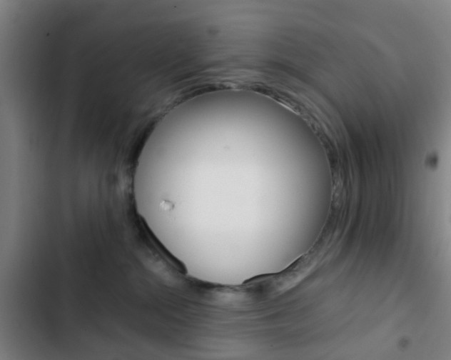 X0000103330284200809051029